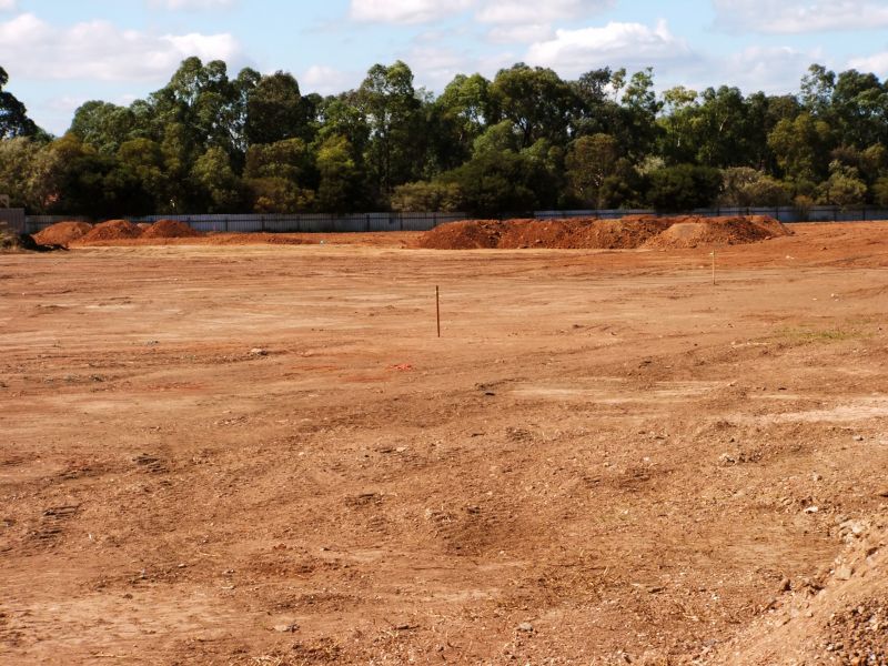 Site Preparation Experts