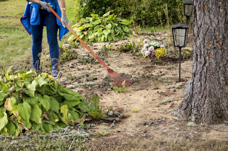 Vegetation Clearing Tools