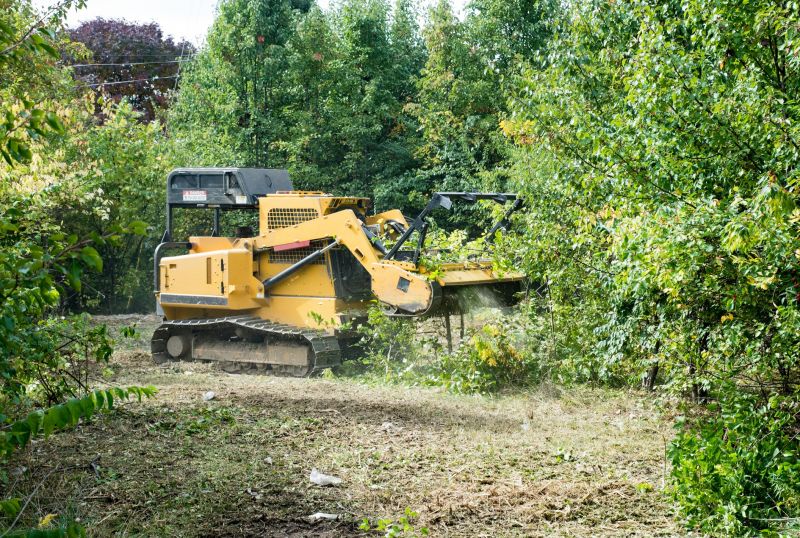 Heavy-Duty Land Clearing