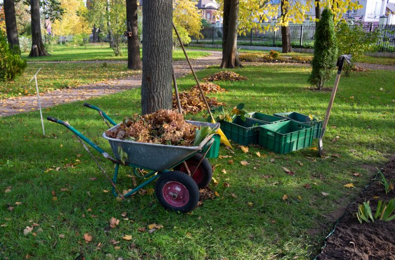 What’s Involved In Professional Land Clearing?